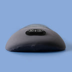 Original Thermo Back Pillow